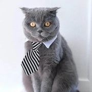Adjustable Pet Bow Tie Necktie Collar for Small Dogs and Cats