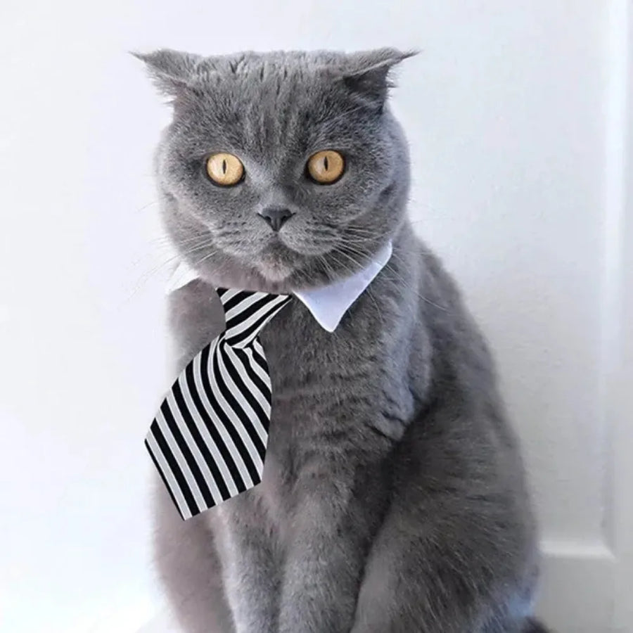 Adjustable Pet Bow Tie Necktie Collar for Small Dogs and Cats