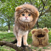 Lion Mane Cat Hat - Elastic Party Photo Prop