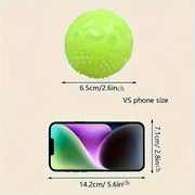 Glow-in-the-Dark TPR Squeaky Chew Ball for Dogs