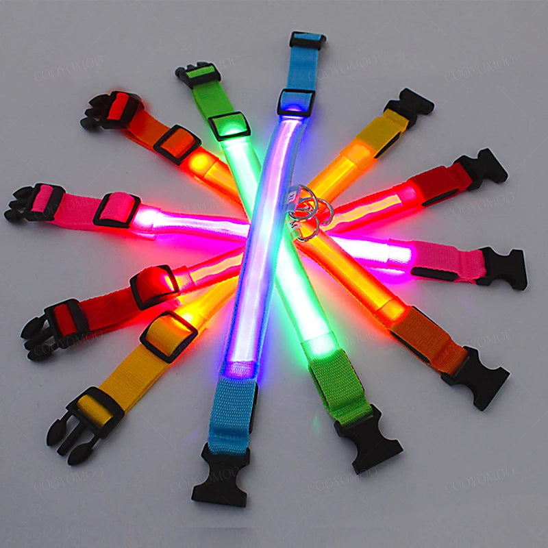 USB Rechargeable LED Dog Collar - 3-Mode Night Safety Light