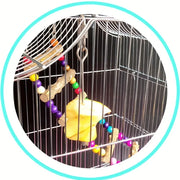 Stainless Steel Hanging Bird Feeder Fork for Fruit and Snacks