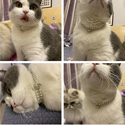 Pearl Rhinestone Pet Necklace Collar for Cats and Small Dogs