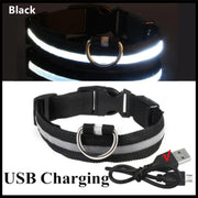 USB Rechargeable LED Dog Collar - 3-Mode Night Safety Light
