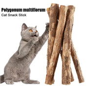 Natural Catnip Molar Sticks for Cats - Teeth Cleaning Chew Toys
