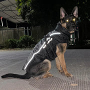 Fur Collar Winter Dog Coat - Thick Jacket for Medium & Large Dogs XL-6XL