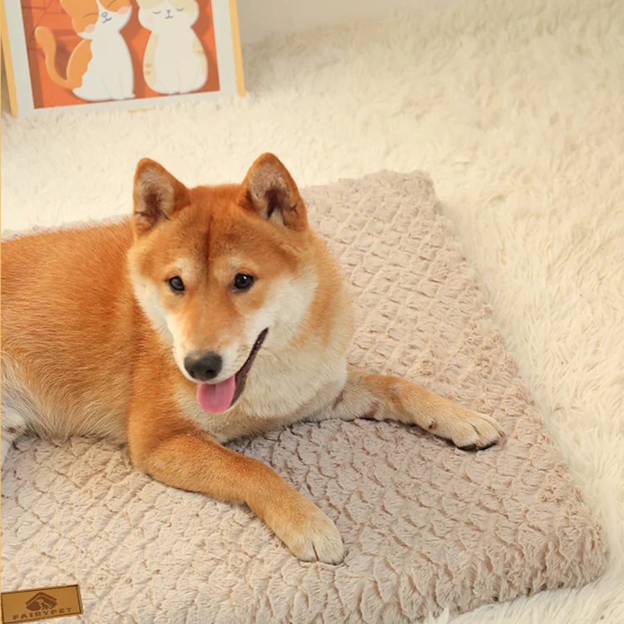 3D Foam Orthopedic Crate Bed with Washable Faux Fur Cover