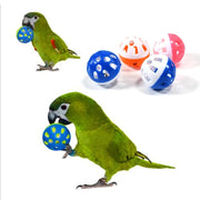 10-Piece Colorful Rolling Bell Ball Toy Set for Parrots
