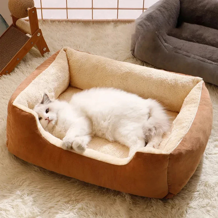 Soft Cushion Basket Bed for Cats and Small Dogs