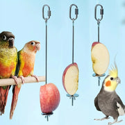 Stainless Steel Hanging Bird Feeder Fork for Fruit and Snacks