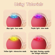 Rechargeable Rolling Ball Cat Toy with Faux Tail