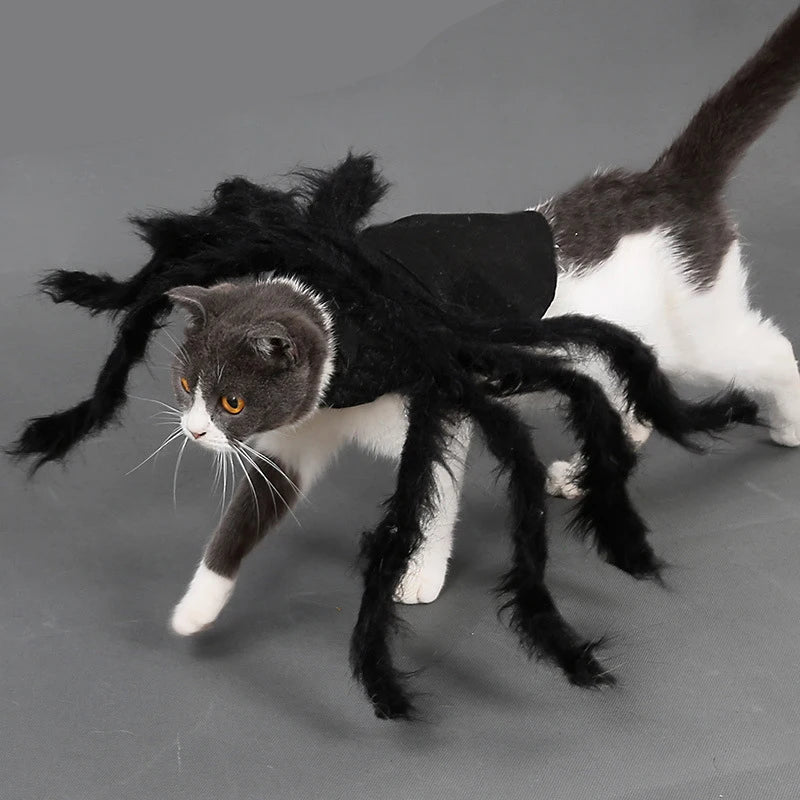 Spider Pet Costume - Halloween Dog and Cat Cosplay Outfit