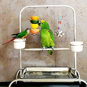 Stainless Steel Hanging Bird Feeder Fork for Fruit and Snacks