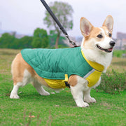 Waterproof Padded Dog Vest Jacket - Warm Coat for Small & Large Dogs