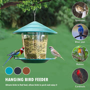 Hanging Outdoor Bird Feeder with Multiple Food Ports