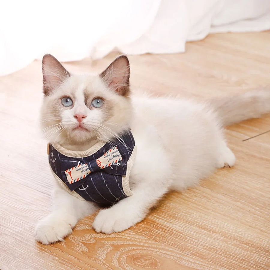 Mesh Pet Harness and Leash Set - Bowknot Cat and Puppy Vest