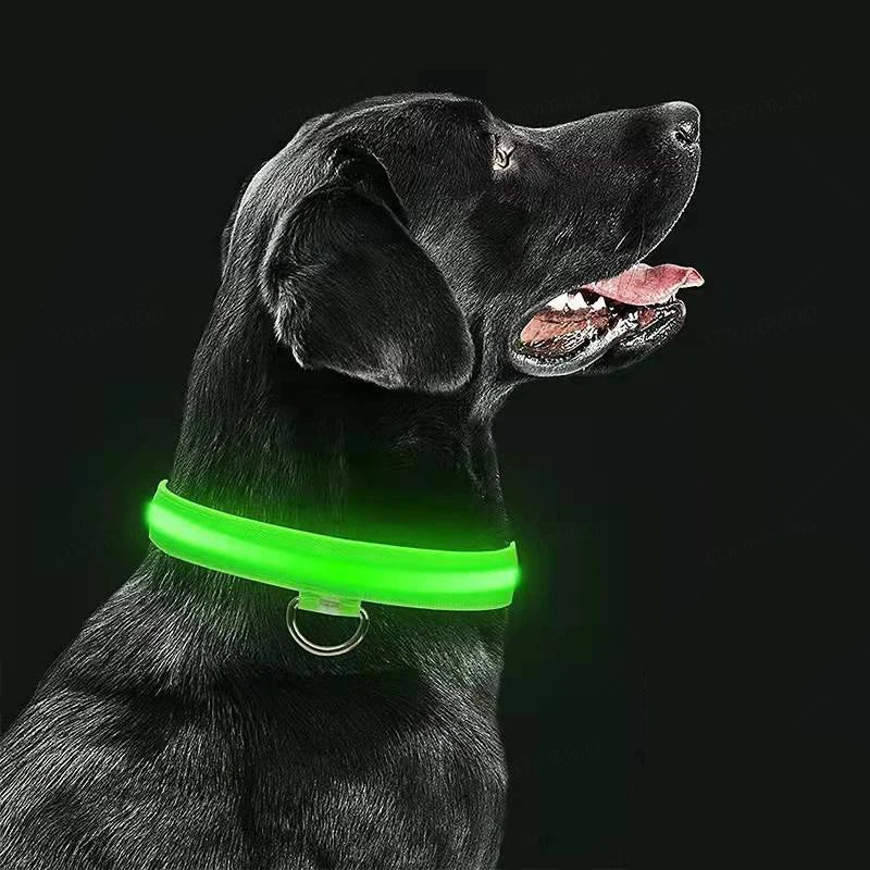USB Rechargeable LED Dog Collar - 3-Mode Night Safety Light