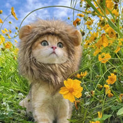 Lion Mane Cat Hat - Elastic Party Photo Prop