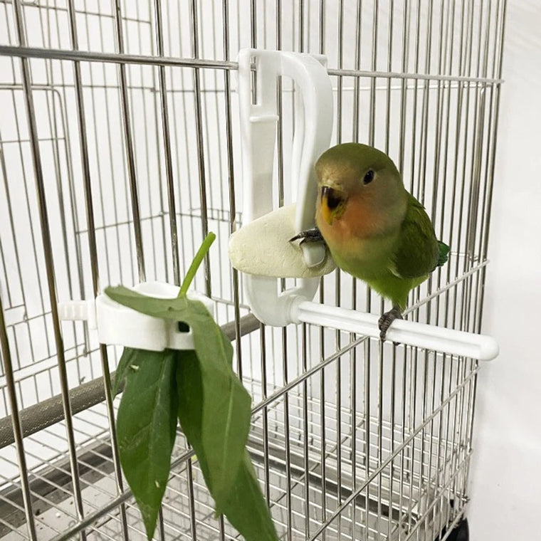 Clip-On Fruit and Vegetable Food Holder for Bird Cages