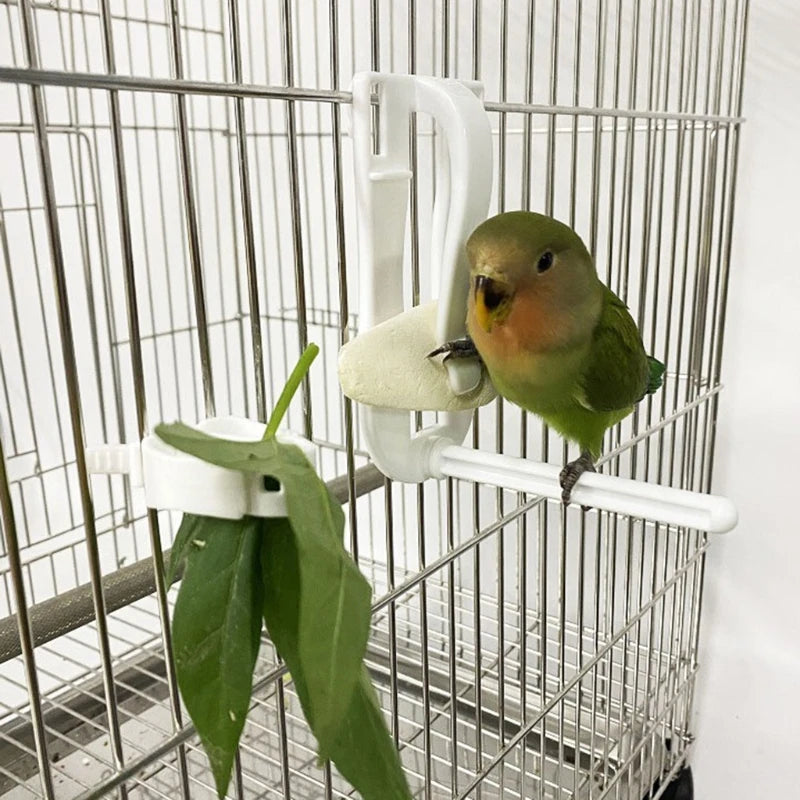 Clip-On Fruit and Vegetable Food Holder for Bird Cages